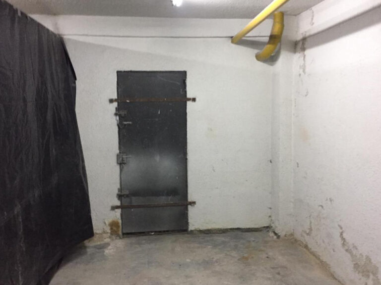 PHOTO-2024-01-26-09-13-47 (2)